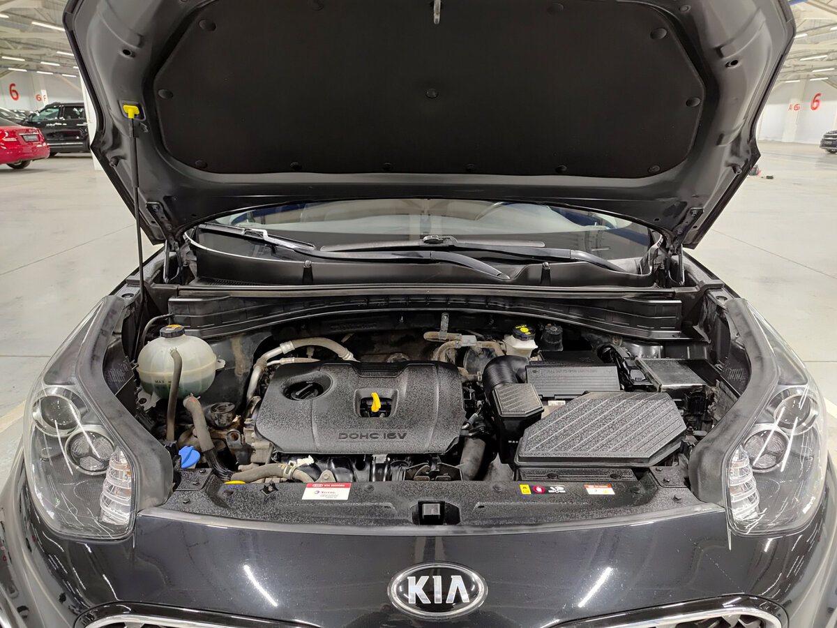 Kia Sportage IV Рестайлинг, 2019 Фото №9